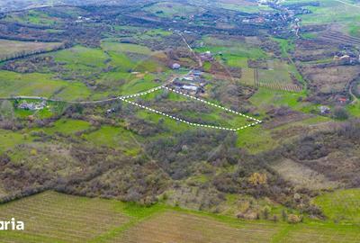 Teren de 33500 mp, în Bucov - 15