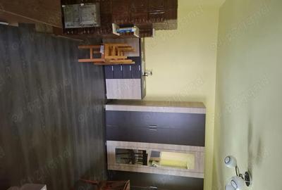 Casă cu 5 camere cu Teren 200000 Mp în Șerel - 3
