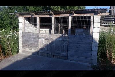 Casă cu 2 camere cu Teren 1439 Mp în Cermei - 12