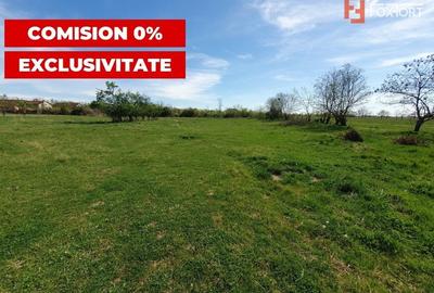 Comision 0% Teren intravilan 3000 mp in Padureni Jebel - 3