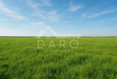 Teren de 100000 mp, în Zagăr - 2