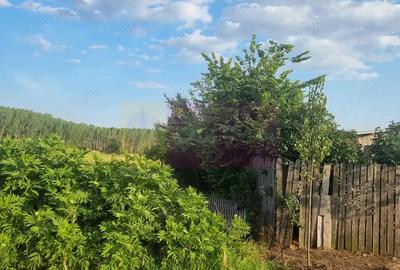 Se vinde teren 2000 mp in Teisori Giurgiu - 6