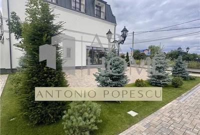 Vanzare spatiu comercial si curte generoasa, in Paulestii Noi - 12