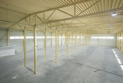 Hala industrială 2.000 mp • Depozitare / Producție • Rampe încărcare • Otopeni - 1