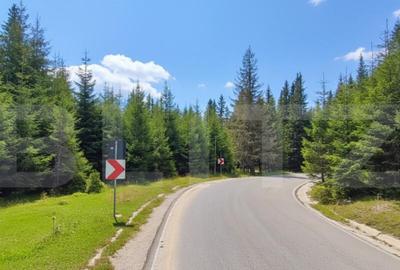 INVESTI?IE PADINA: 1000mp Intravilan in Parcul Natural Buc - 2