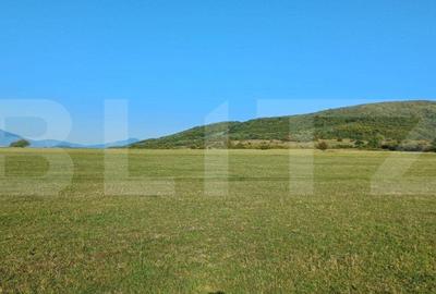 Spațiu comercial, în Unirea