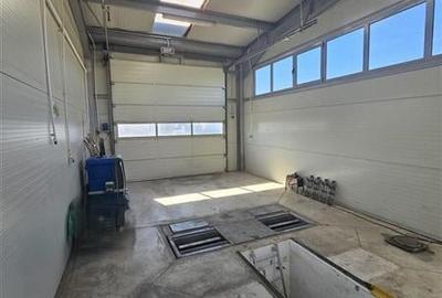 Showroom, service, magazin desfacere, birouri - Aeroport Oradea - 6