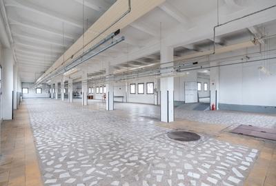 Spațiu industrial, de 3,550 mp, în Mărăști - 8