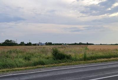 Spațiu comercial, în Costești - 3