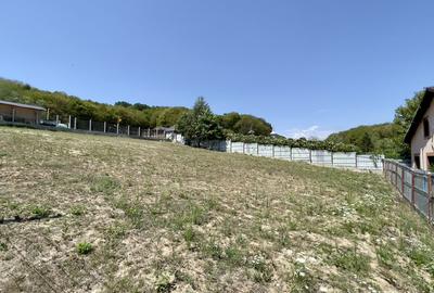 Teren Intravilan de Vis in Bascov, la Marginea Padurii! - 1