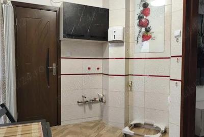 Apartament 1 camera in Deva, zona Gojdu - 7