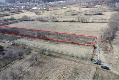 Se vinde teren  în Curtea de Argeș - 1