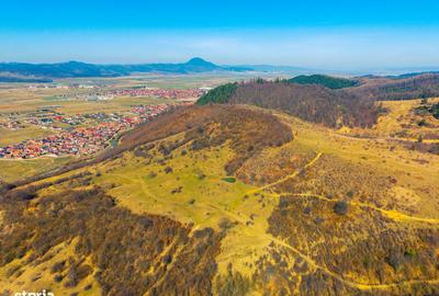 Teren de 60100 mp, în Central - 6