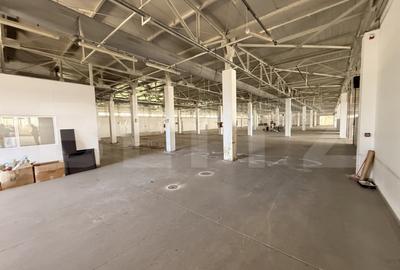 Spațiu comercial, de 5,800 mp, în Lipănești - 10