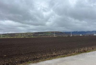 Spațiu comercial, în Central - 2