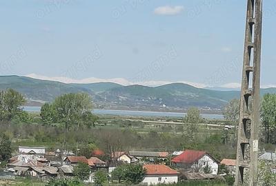 Teren de 8000 mp, în Drăgoești - 8