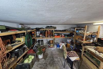 Satu Mare, Zona Titulescu, Oportunitate pentru familie mare sau firme. - 29