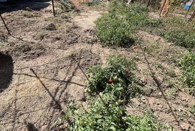 Teren intravilan Stadion - 2