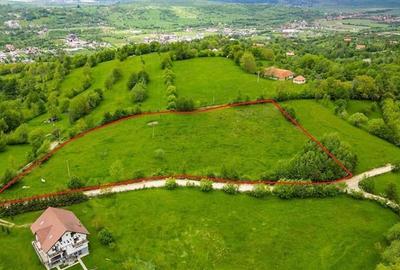 Film! 11.000 mp,pozitionare valoroasa,conditii apreciabile, Sohodol, Bran, Braso Film! 11.000 mp,pozitionare valoroasa,conditii apreciabile, Sohodol, Bran, Braso - 14