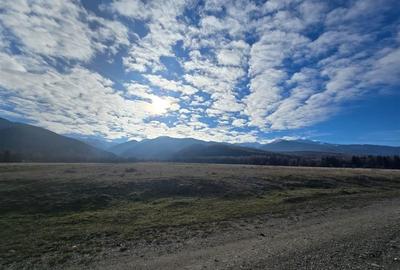 Teren de vanzare in satul de vacanta Dejani - 8