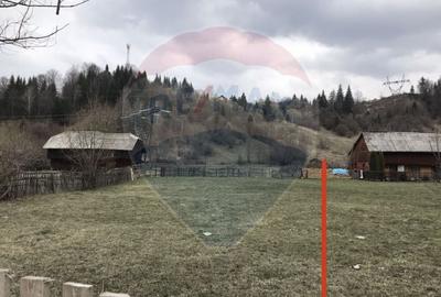 VANZARE Teren intravilan 3350 mp Podu Dambovitei ARGES - 5