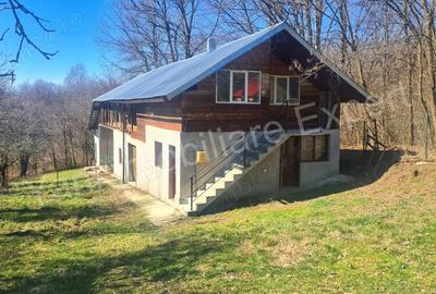 Casă cu Teren 9815 Mp în Borovinești - 11