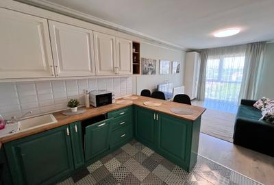 Apartament cu 2 camere semidecomandat, mobilat în Sopor - 10