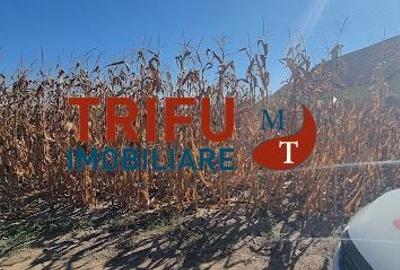 Teren intravilan 2464 mp de vanzare pe soseaua de centura - 2