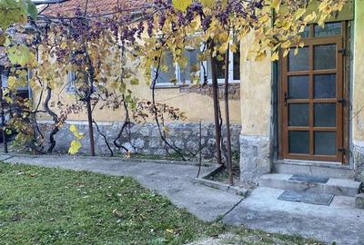 Casa de vanzare in Vadu Crisului - 8