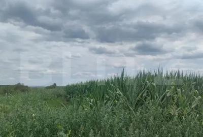 Teren de 3500 mp, în Rădăuți - 1