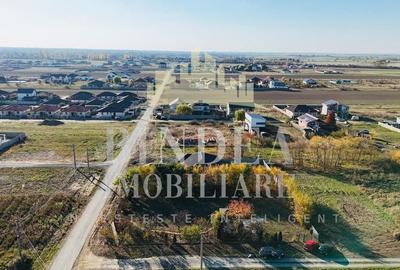 Teren intravilan imprejmuit, vegetatie matura 1200mp Sag Manastire - 5