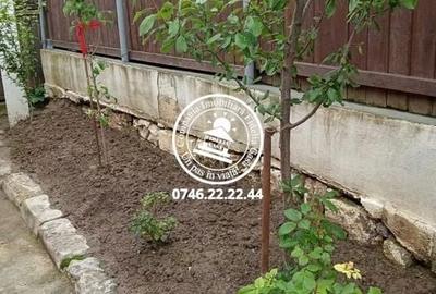 Casă cu 4 camere cu Teren 260 Mp în Central