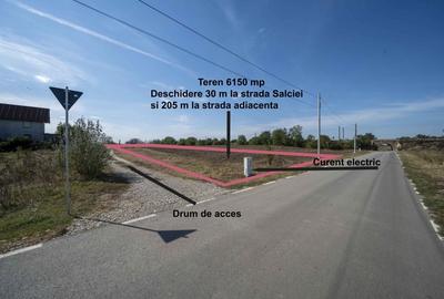 Teren 6000mp*Domnesti*Salciei-Haltei-Ciocarliei*Drum asfaltat cu utilitati - 1
