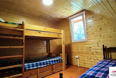 Cabana de Zona Lunca Bradului - 9