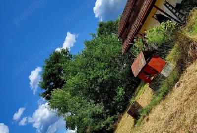 Casă cu Teren 2900 Mp în Central - 2