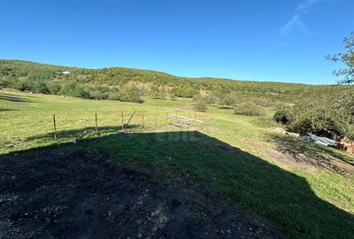 Casă individuală cu 4 camere cu Teren 800 Mp în Florești - 7