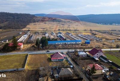 Spațiu comercial, de 800 mp, în Traian - 8