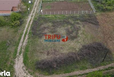 Teren de 884 mp, în Cetate - 3