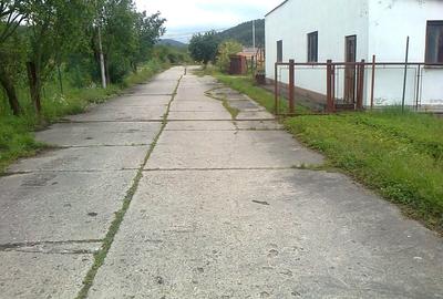 Hale + Atelier Mecanic + Birouri - 5