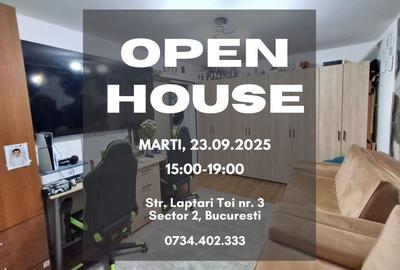 DE VANZARE Apartament 2 Camere Teiul Doamnei - 13