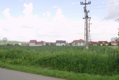 Teren Construcții intravilan de 27700 mp, în Iernut - 4