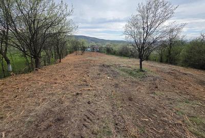 Teren de 6704 mp, în Bârsău - 6