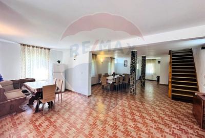 Pensiune + Vila pe malul raului Lotru-Malaia,Valcea - 6