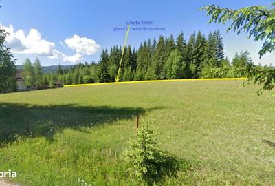 Teren de 6450 mp, în Neagra - 6