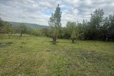 Teren de 4000 mp, în Predeal - 7