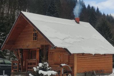 Teren de 9172 mp, în Pintic - 2