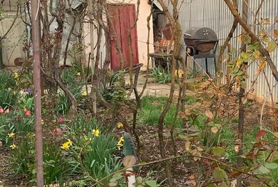 Voluntari Casa 2 camere 100 000eur - 3