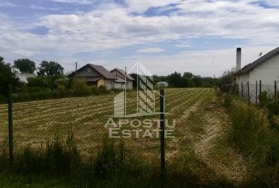 Teren de 3000 mp, în Uliuc