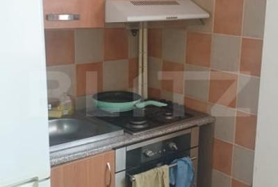 Garsoniera superba, 25 mp, zona Tractoru - 6