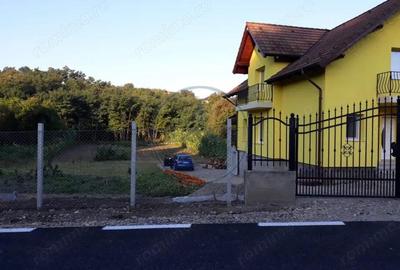 Casă cu Teren 2800 Mp în Central - 8